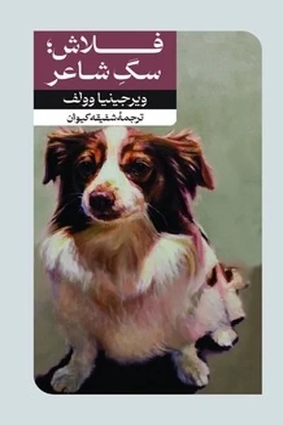 فلاش-سگ-شاعر فلاش; سگ شاعر - تصویر 1
