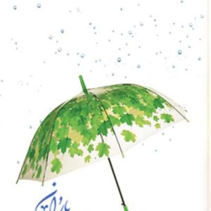 کتاب مردی از تبار باران