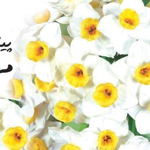 پیامک مهدوی