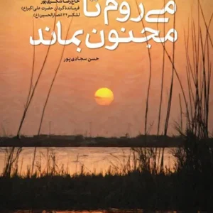 کتاب می روم تا مجنون بماند
