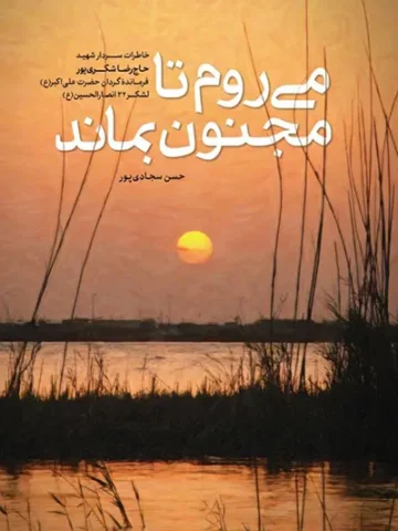 کتاب می روم تا مجنون بماند