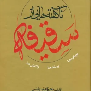 کتاب ناگفته هایی از سقیفه
