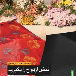 کتاب نبض ازدواج را بگیرید
