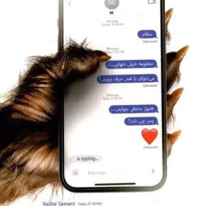 کتاب پشت این پنجره