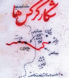 شکار کرکس ها