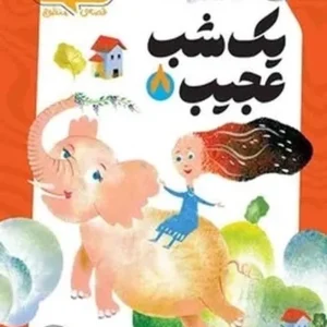یک شب عجیب